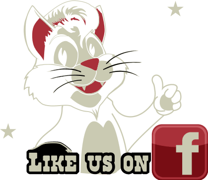 facebook link